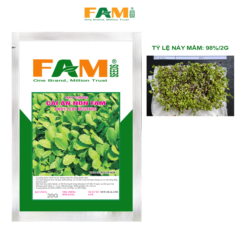 Gói 20gr Hạt Giống Cải Ăn Non Baby FAM SEEDS - Xuất Xứ New Zealand, Nảy Mầm Tốt, Phát Triển Mạnh, Năng suất cao, Giàu dinh dưỡng, Không xơ, Ít nồng