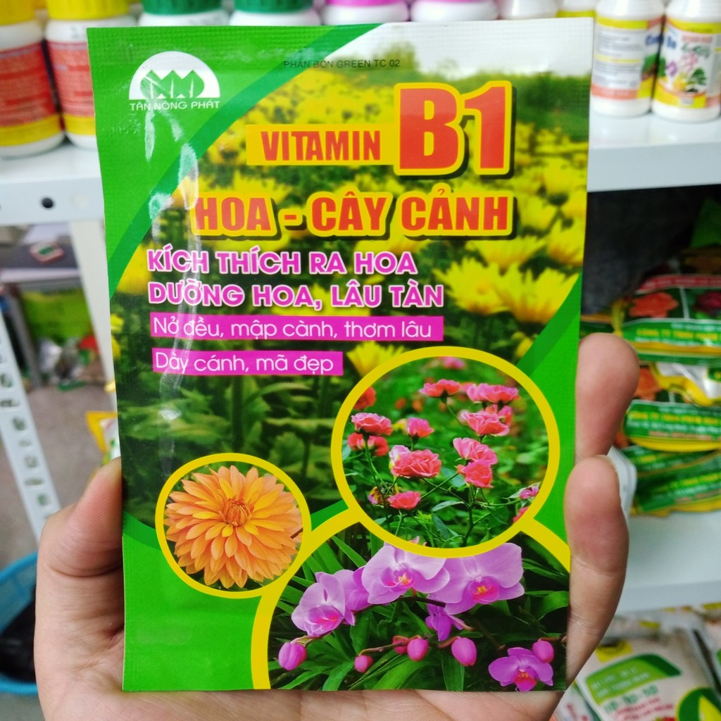 Phân bón vitamin b1 cho lan, hoa và cây cảnh
