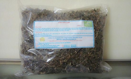 1kg cây c.ứt lợn khô (hoa ngũ sắc, cây cỏ hôi) ch.ữa v.iêm xoang GT202