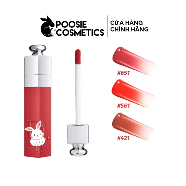 Son Dior Addict Lip Tint