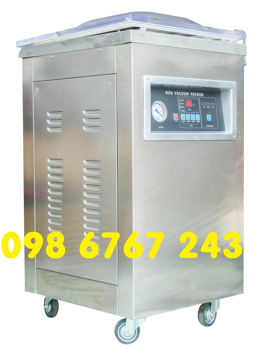 Máy hút chân không công nghiệp DZ400