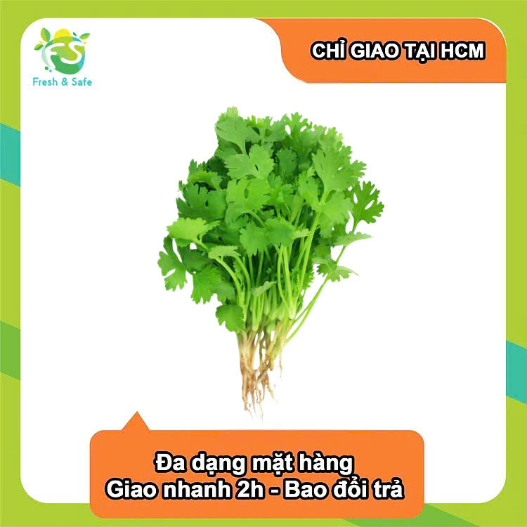 [Chỉ Giao HCM] Ngò Rí - 200g (sỉ)