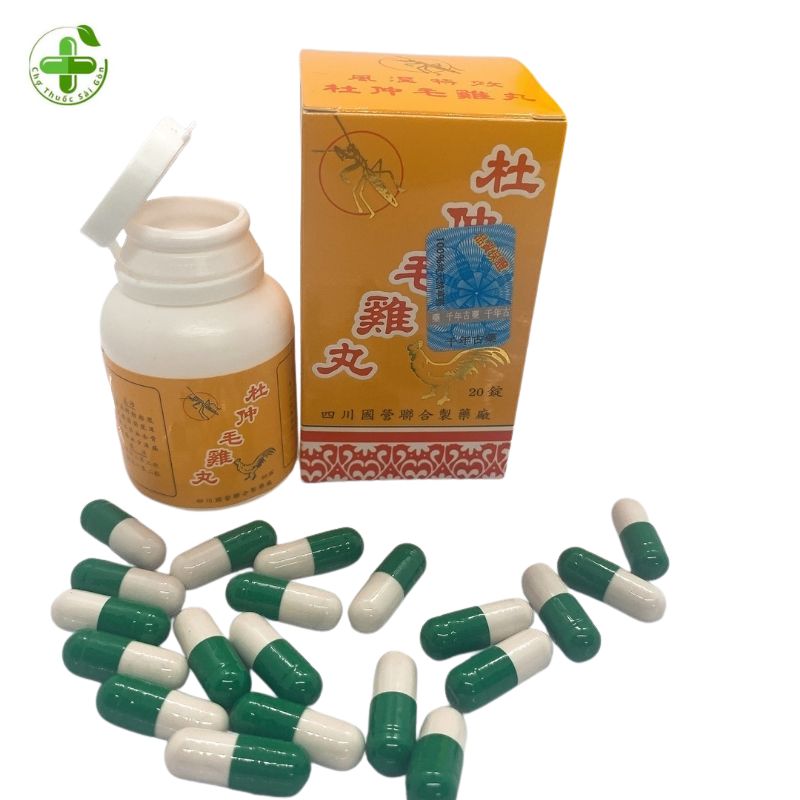 Đỗ trọng mao kê hoàn 20v – mao kê kiến– đau phong thấp-thiếu má.u-suy nhược cơ thể
