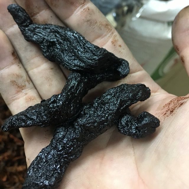 Thục địa đẹp mới dùng làm sâm bí đao gói 1kg