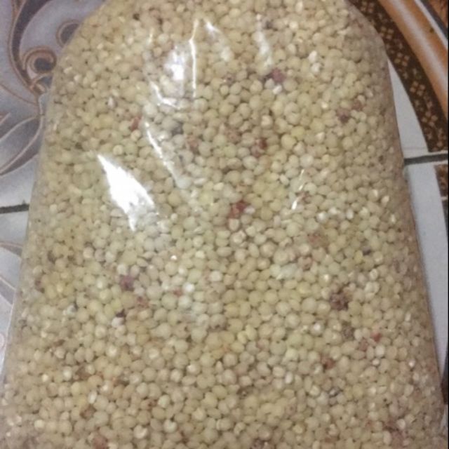 hạt bo bo hạt y dĩ gói 1kg