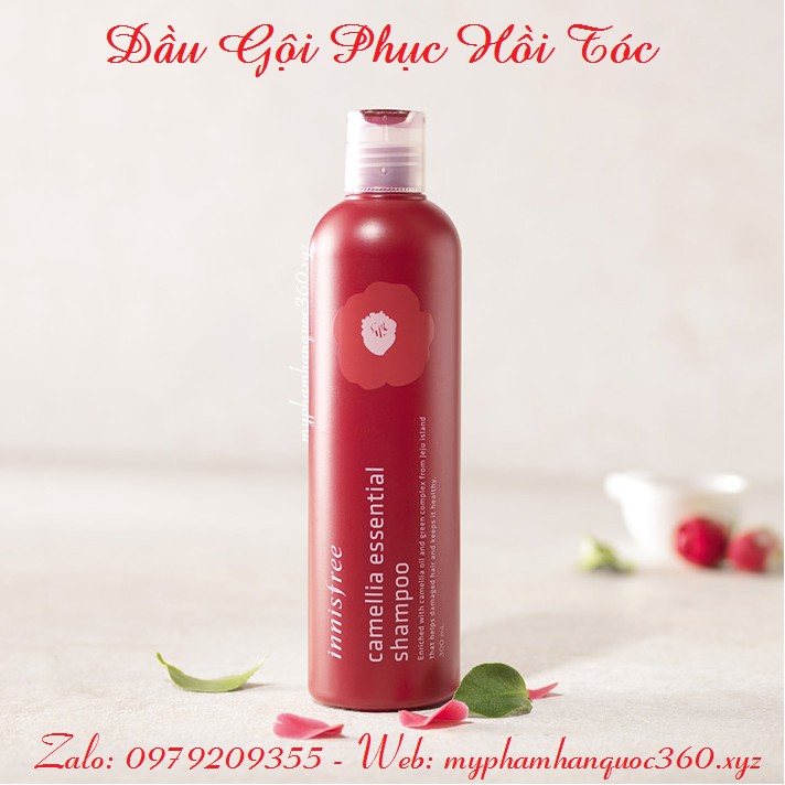 [Mẫu mới] Dầu gội phục hồi tóc Innisfree Camellia Essential Shampoo 300ml, chất lượng đảm bảo an toàn đến sức khỏe người sử dụng, cam kết hàng đúng mô tả