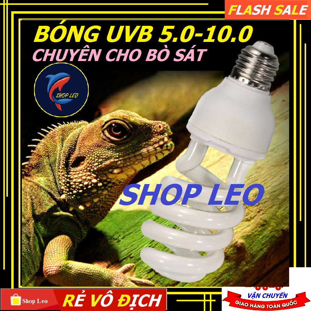 Đèn UVB 5.0 và 10.0 chuyên dụng cho bò sát - Đèn uvb giúp hấp thụ canxi cho bò sát -Phụ kiện bò sát - Rùa cảnh -shopleo