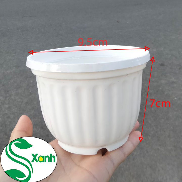 10 chậu treo Mini Kích thước 11x9