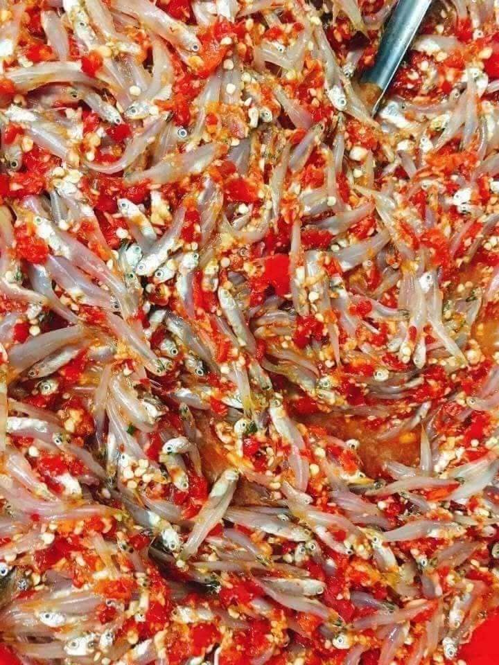 Mắm cá cơm chua