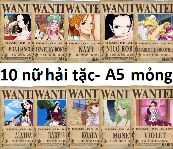 Bộ 10 tấm truy nã nữ hải tặc Onepiece wanted poster size A5 mỏng ...