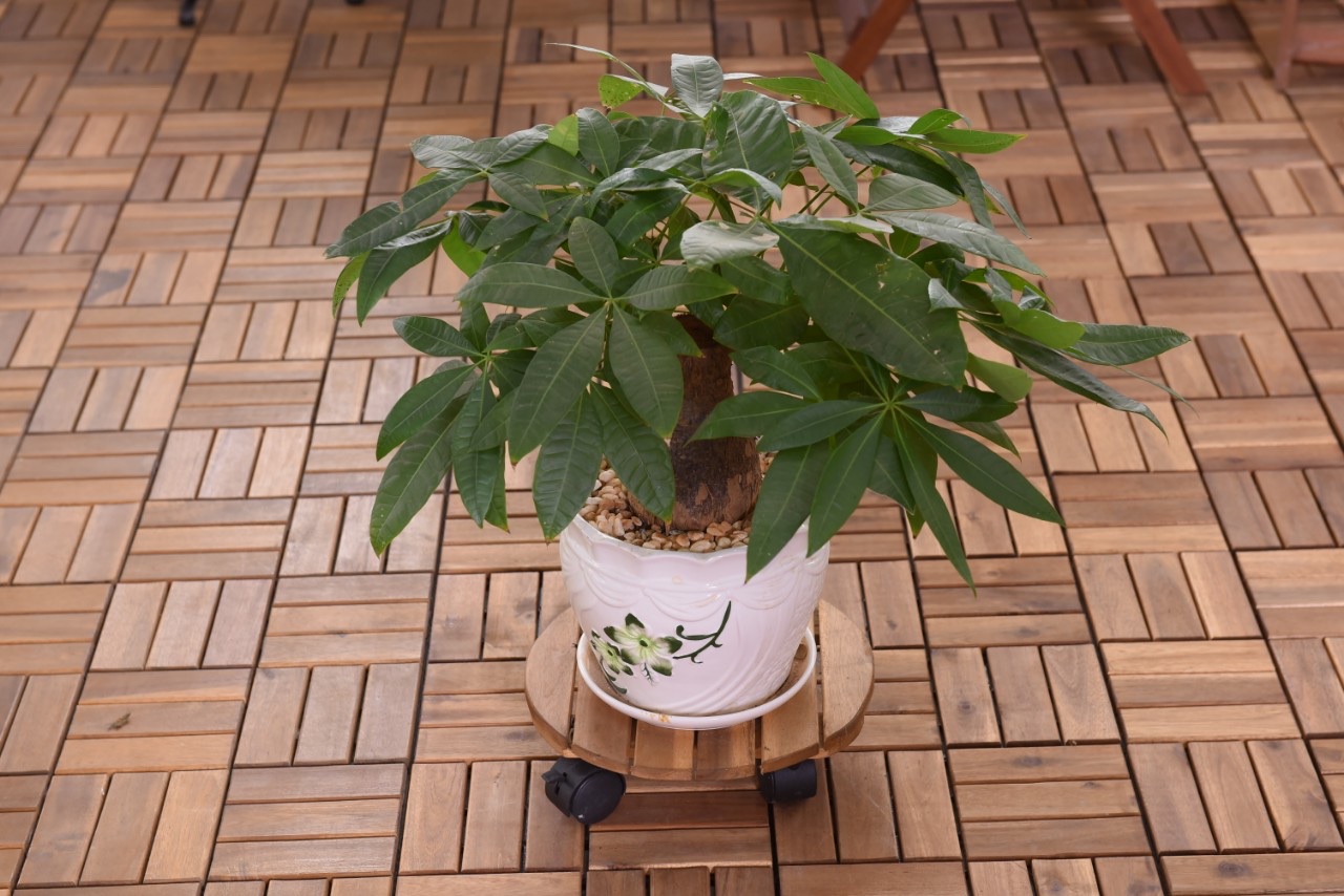 Combo 10 Tấm Vỉ Nhựa Lót Sàn 12 Nan -TẤM SÀN GỖ TỰ NHIÊN VỈ NHỰA, SÀN GỖ LÓT BAN CÔNG - GỖ LÓT SÂN VƯỜN - GỖ LÓT NHÀ TẮM