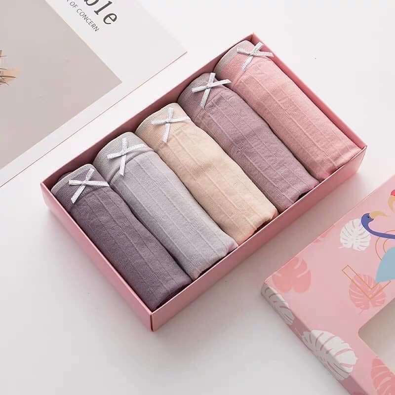 Hộp 5 quần lót kháng khuẩn hạc hồng