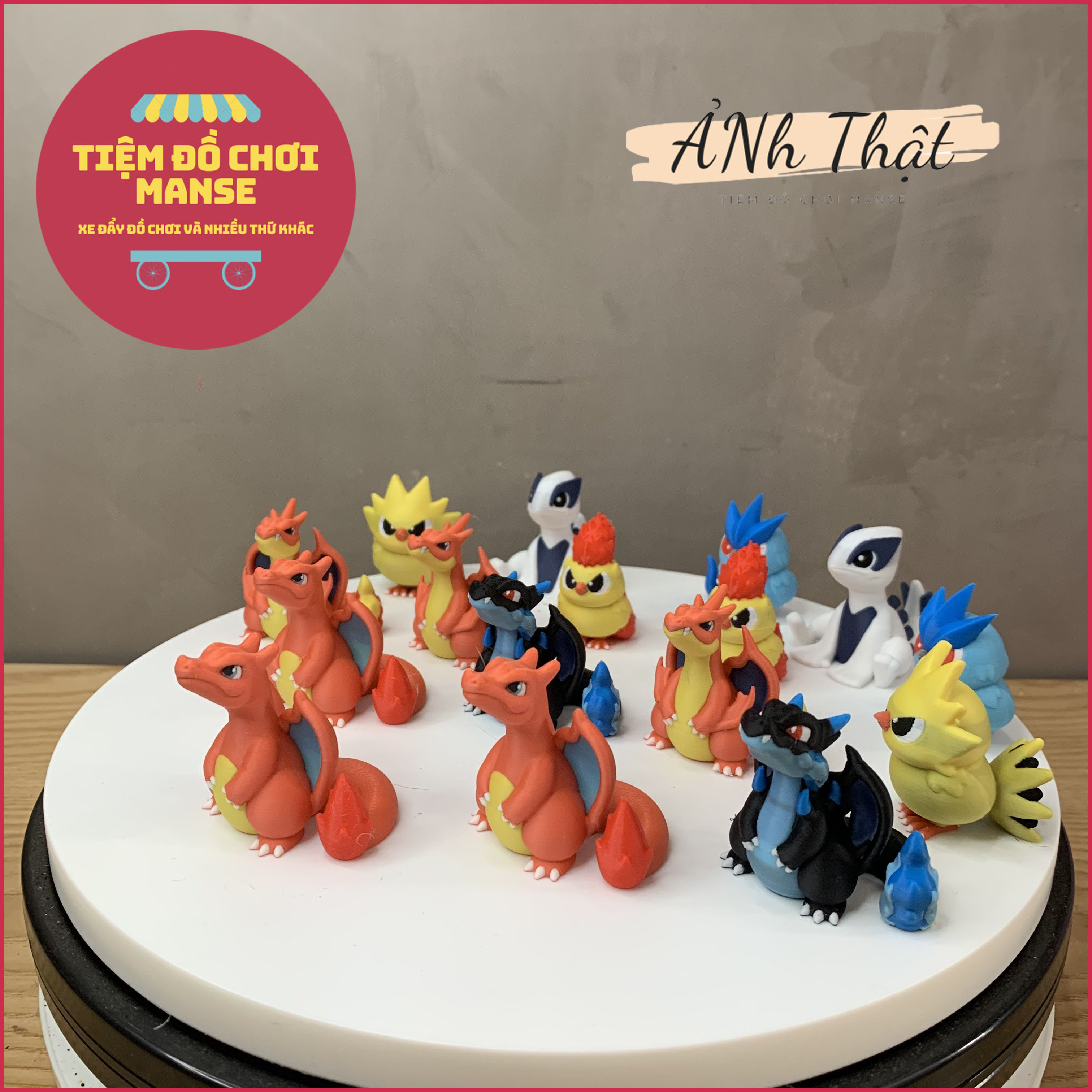 Mô hình Các Pokemon Mega Charizard, Charmander, Charmeleon, Tyranitar - Không Đụng Hàng