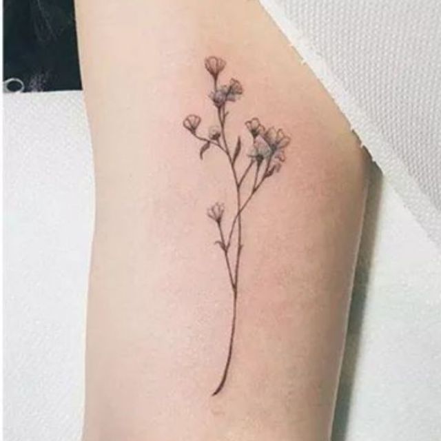 Hình xăm dán tattoo bông hoa nhỏ AF  phụ kiện thời trang đẹp