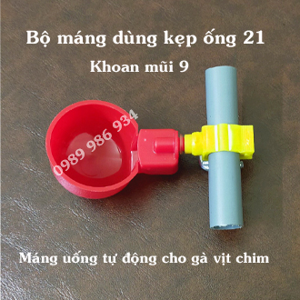 Bộ máng uống tự động cho gà ngan vịt, chim