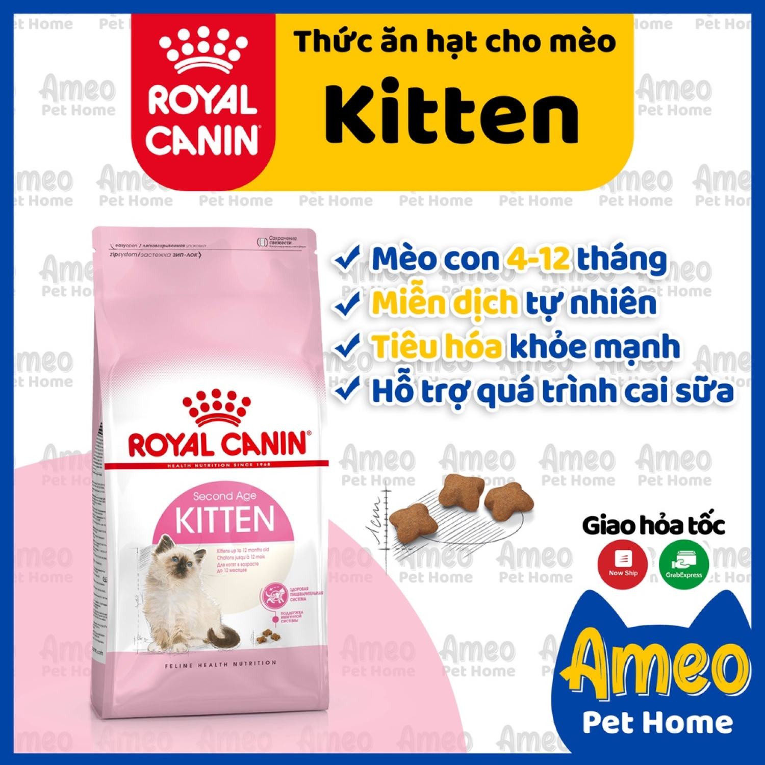 Royal Canin Kitten 1kg 2kg | Thức ăn hạt cho mèo con Royal Canin Kitten chính hãng