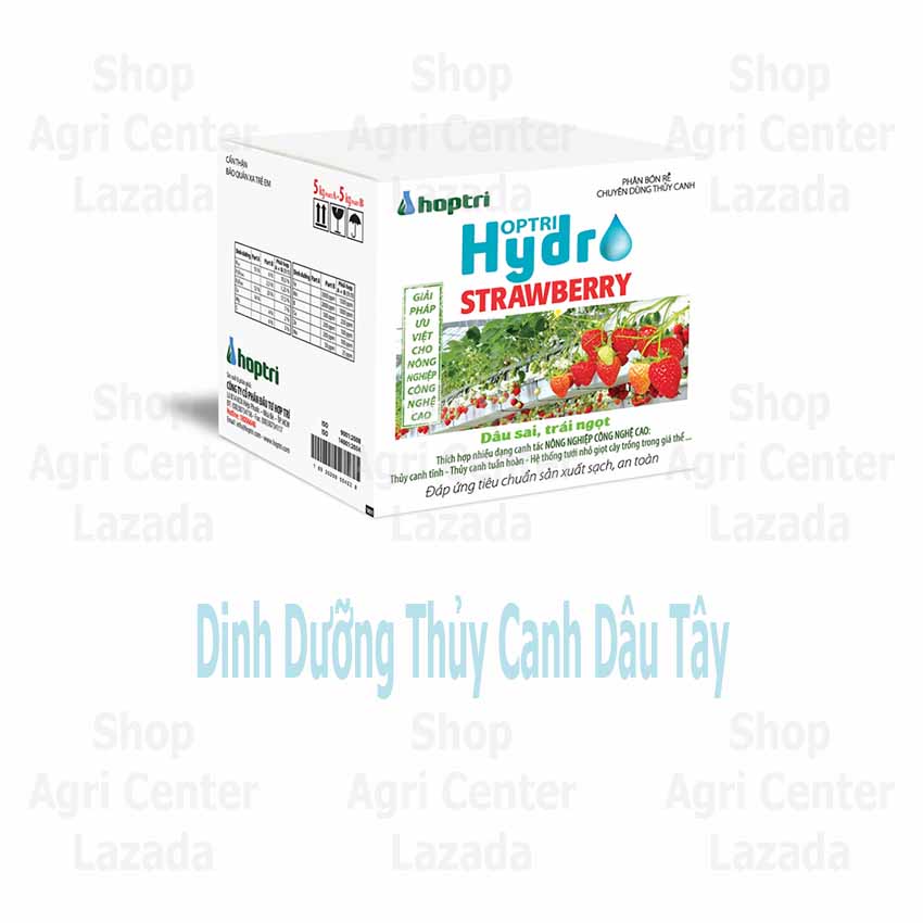 Dinh dưỡng thủy canh trồng dâu tây Hợp Trí Hydro Strawberry