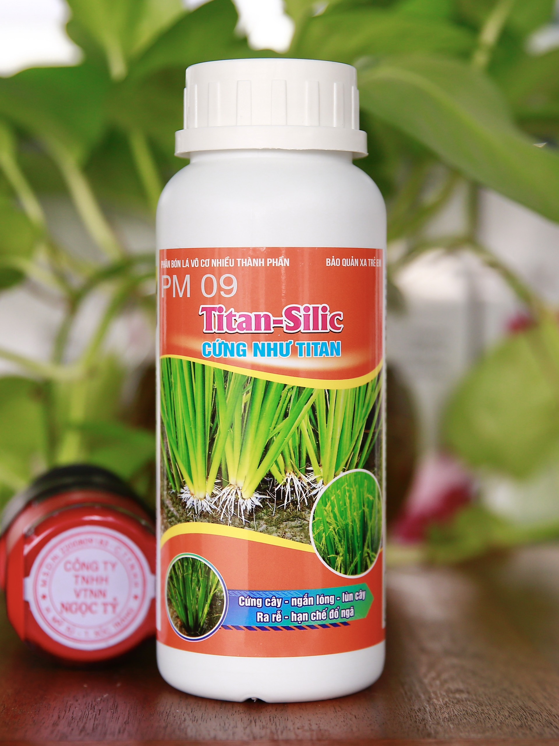 Phân bón lá cứng cây titan silic của global farm