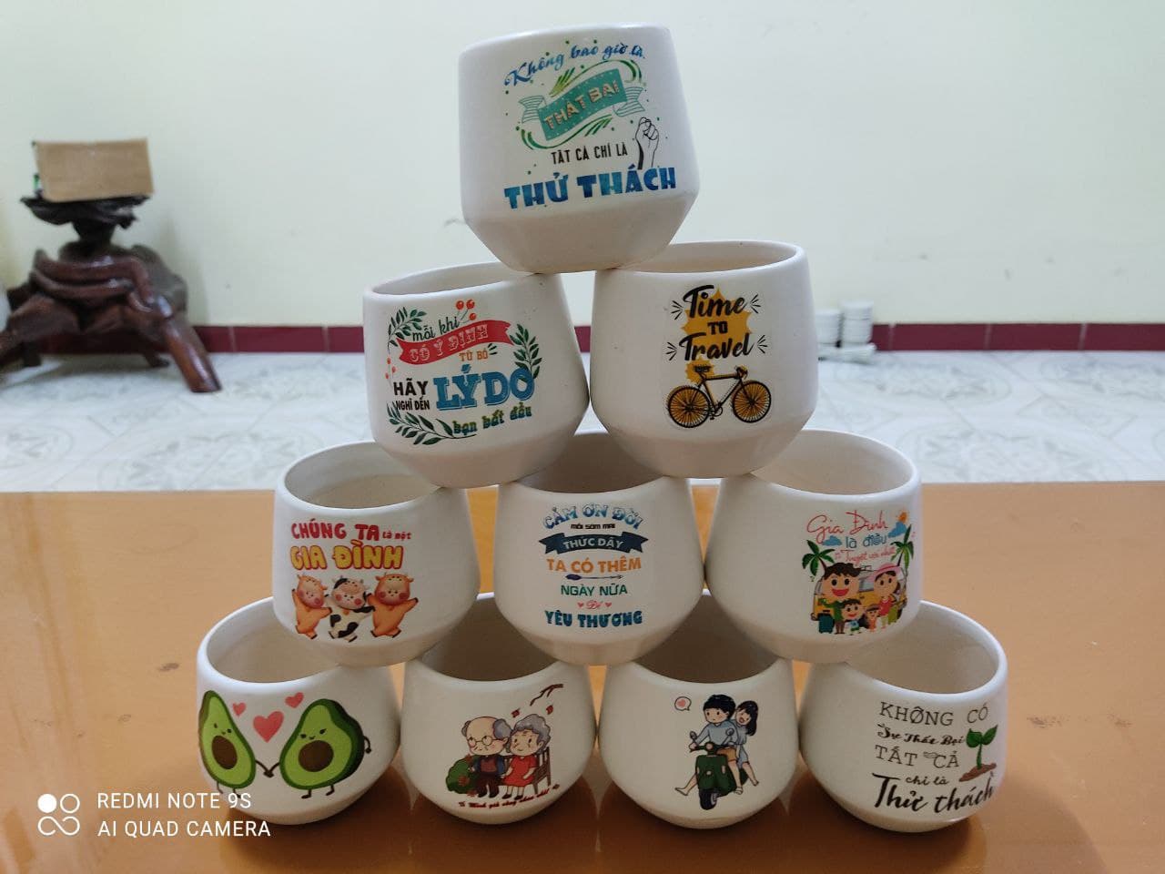 Chậu sứ mini in hình trồng cây cảnh, sen đá, xương rồng