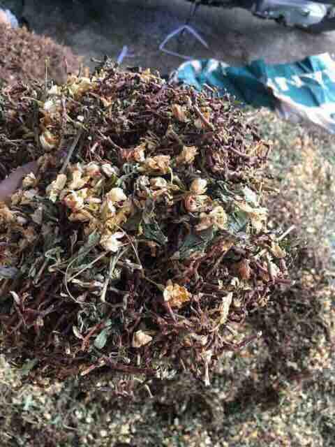 500gr trà sơn mật hồng sâm