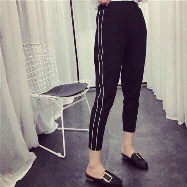 Quần baggy 2 mí l1 h.s825