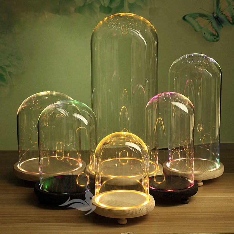 Chụp thủy tinh đế gỗ trang trí (10 x 16cm) - Có đèn Led tặng kèm pin