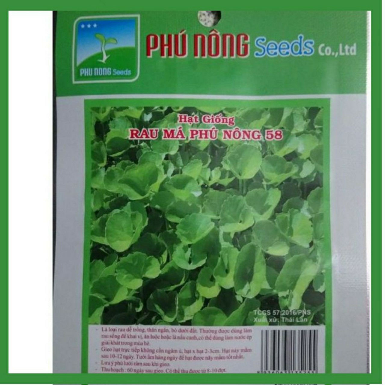 Hạt Giống Rau Má - Lá Nhỏ (Centella asiatica)