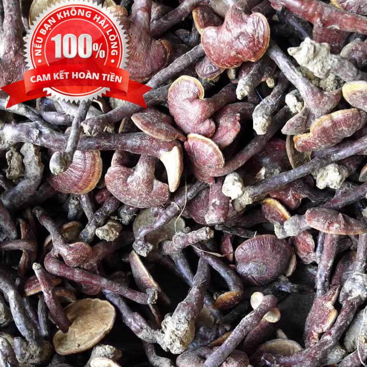 1kg nấm linh xanh - nấm linh chi - loại rừng tây bắc