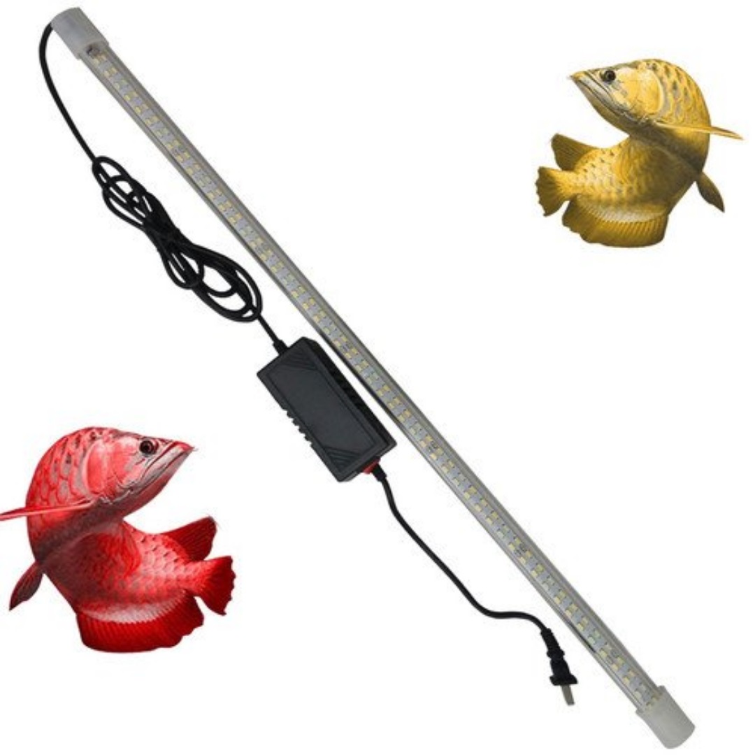 Đèn led xml vàng/đỏ cho hồ bể cá rồng 80/100/120/150/180cm - 2 hàng bóng xuan mei long.