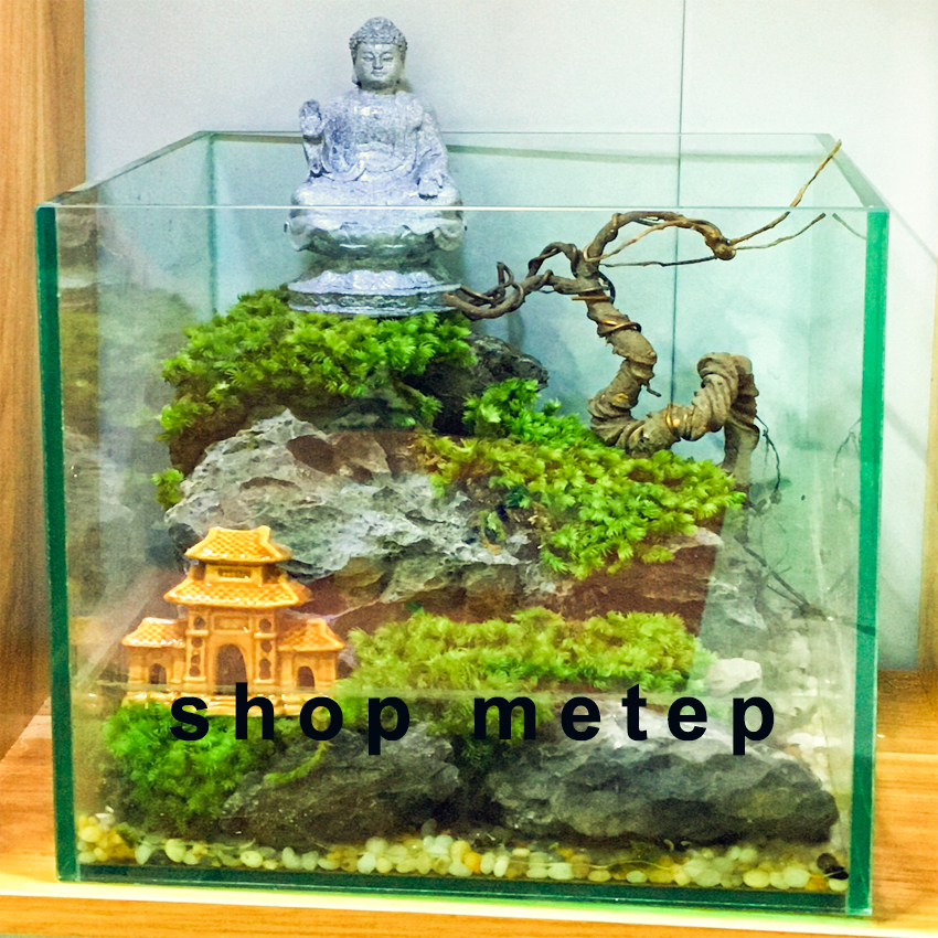 Combo trang trí hồ bán cạn KT 25-30cm gồm tượng phật- đá tai mèo- tiểu cảnh mái đình- rêu- sỏi - metep04