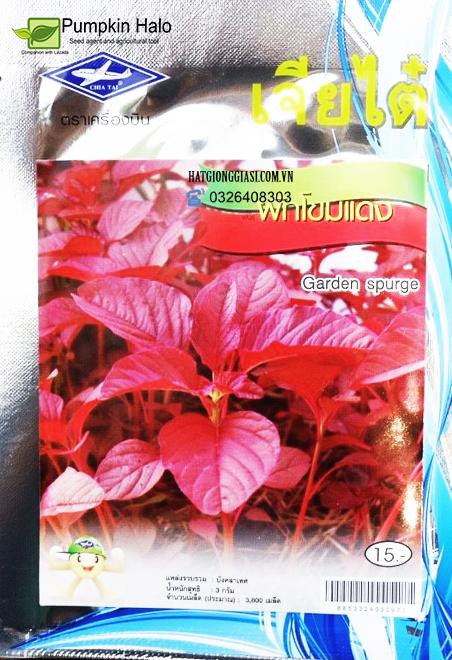 Gói 3800 hạt - hạt giống dền đỏ cao sản thái lan.tặng kèm phân bón 10gram .