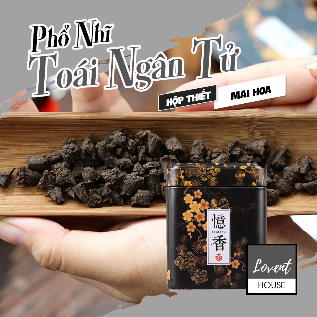 [HCM][LOVENT HOUSE] Trà PHỔ NHĨ HÓA THẠCH - TOÁI NGÂN TỬ 14 NĂM - Tây Song Bản Vân Nam - 1 Hộp Mai Thiết 100gr