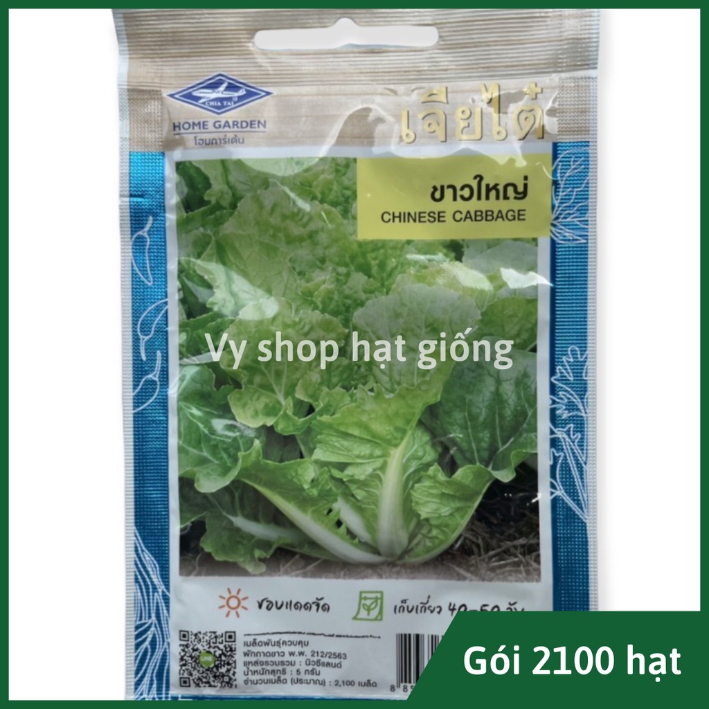 Hạt giống rau cải bẹ dúm Thái Lan gói 2100 hạt