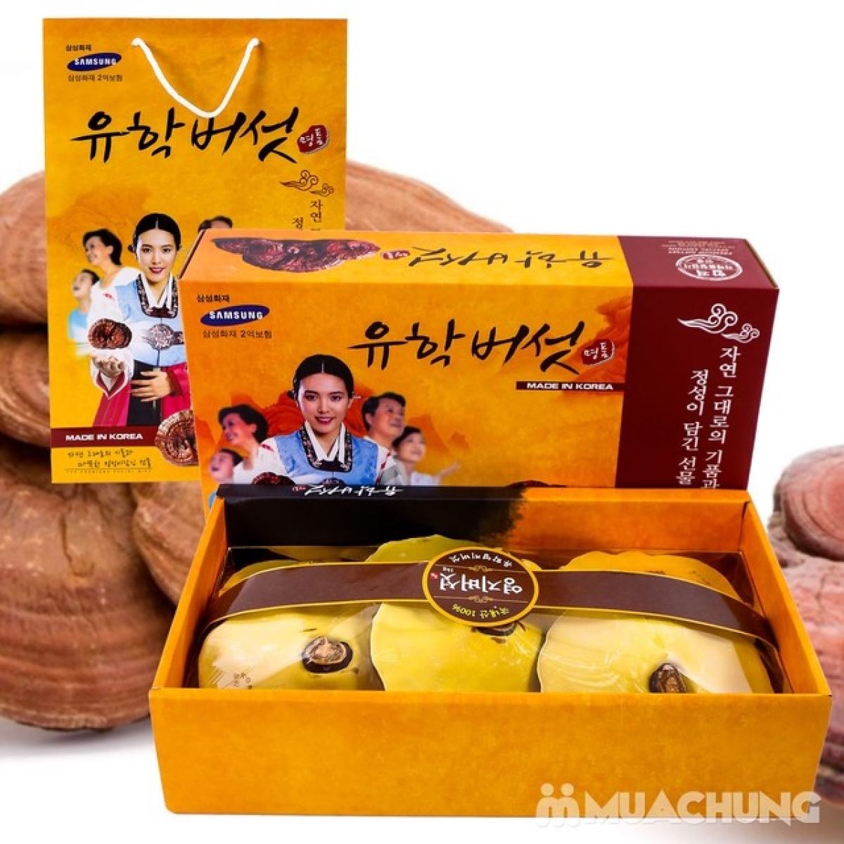 Hộp nấm linh chi đỏ