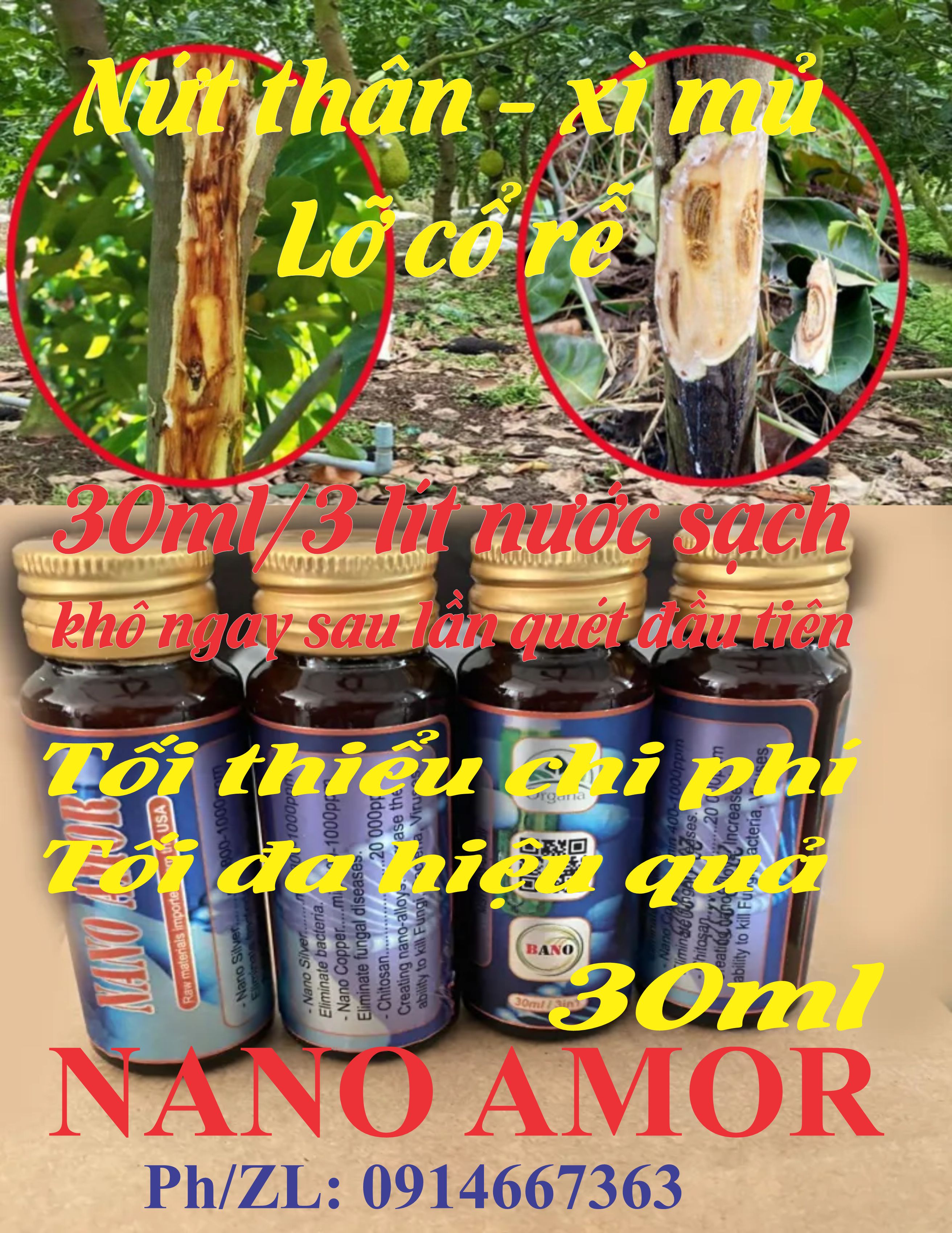 Nano Amor - Xử lý bệnh nứt thân xì mủ, lỡ cổ rễ trên cây ăn trái.