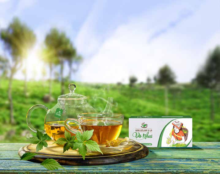 Trà giảo cổ lam 5 lá võ nhai