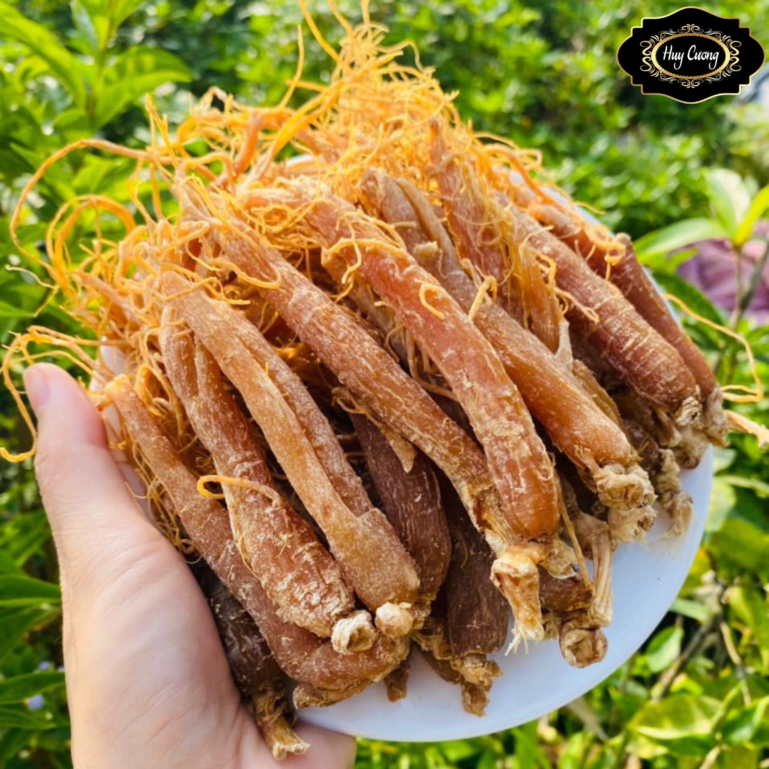 Hồng sâm Hàn Quốc sấy dẻo thượng hạng cho bé, cho người lớn, cho người già được sấy dẻo từ nhân sâm già nhiều năm tuổi