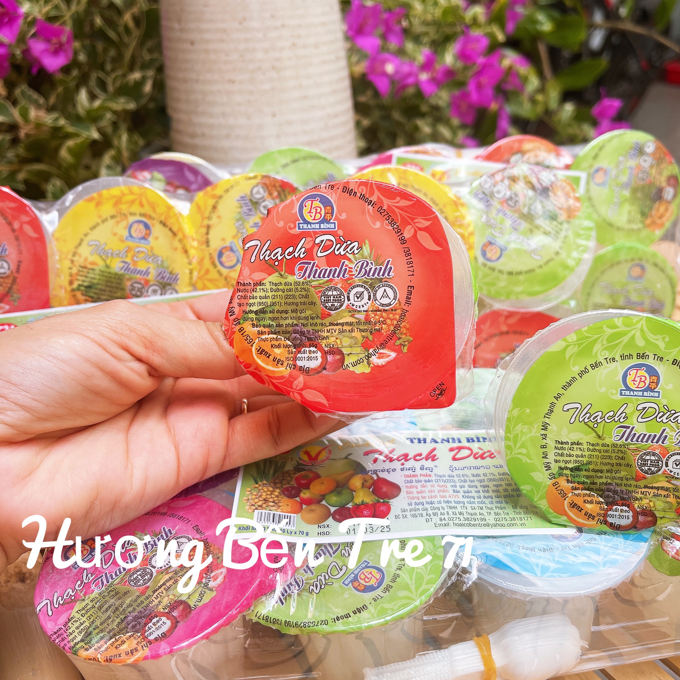 Thạch dừa ly thanh bình mát lạnh ngày hè - lốc 12 ly - đặc sản bến tre