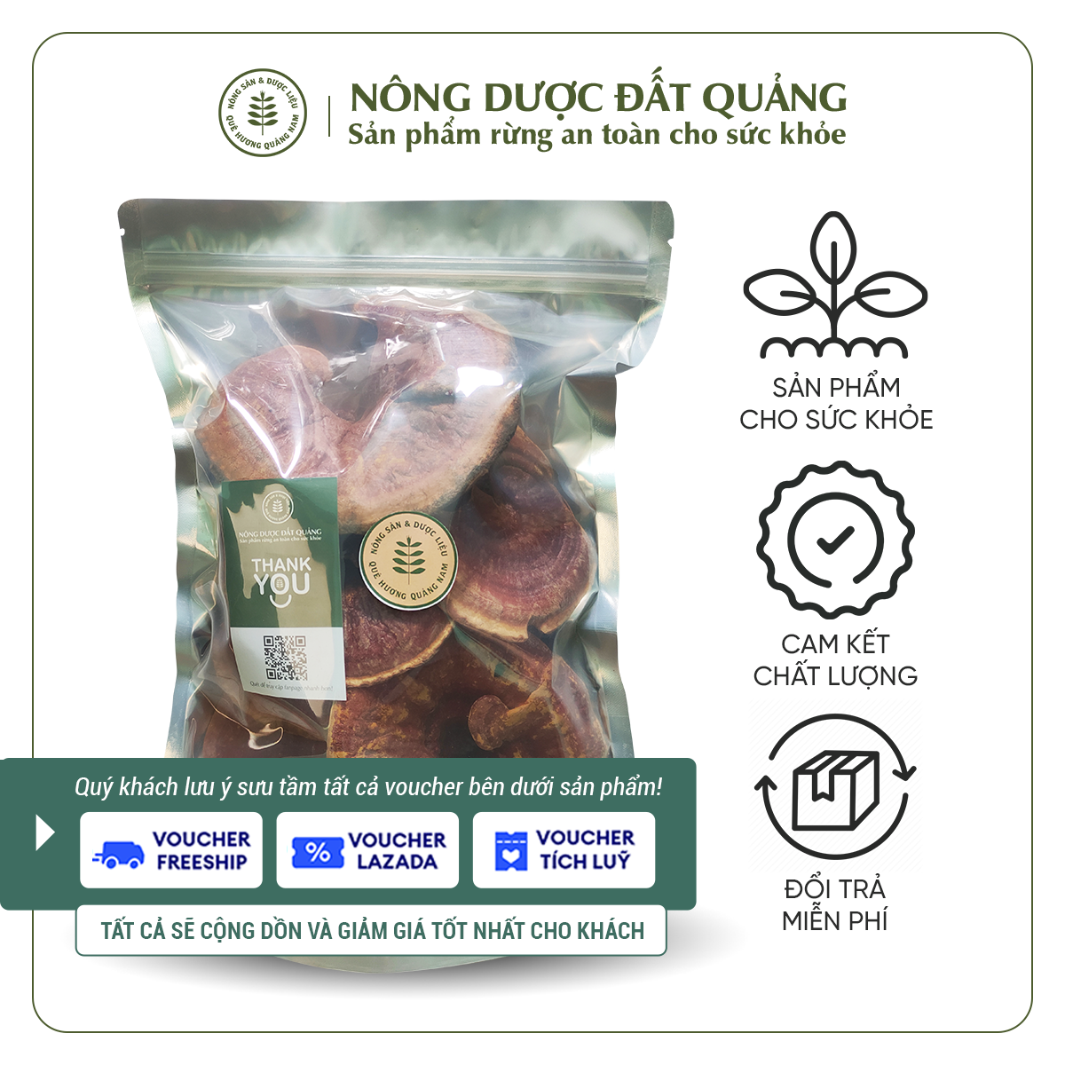 Nấm linh chi đỏ rừng tự nhiên quảng nam | ganoderma lucidum | túi 500gram