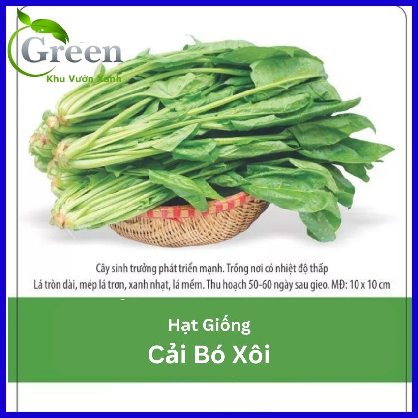 Hạt Giống Cải Bó Xôi F1 Chịu Nhiệt - Gói 20 Gam