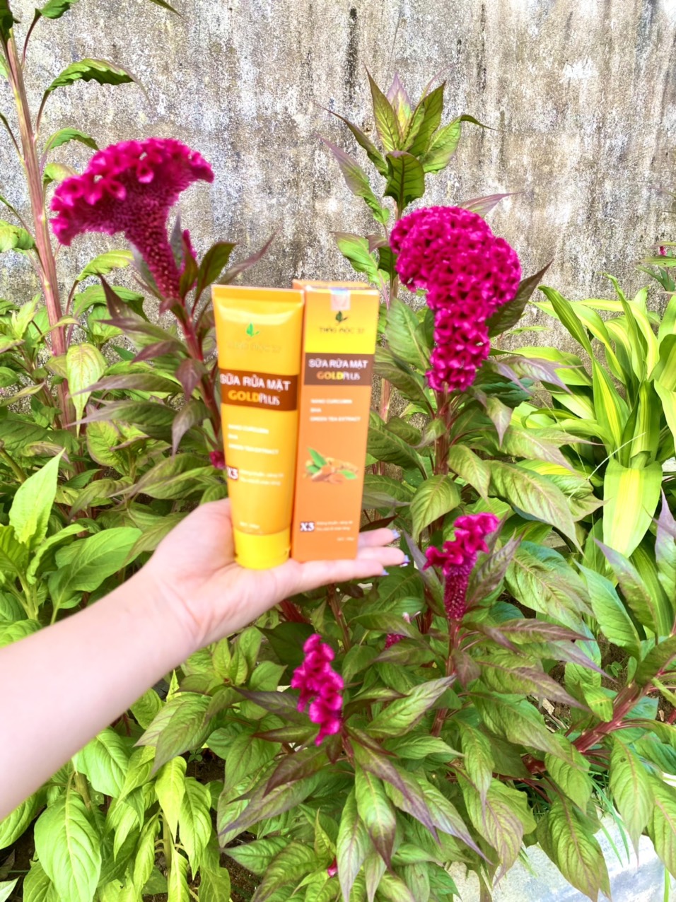 Sữa rửa mặt gold thảo mộc 37