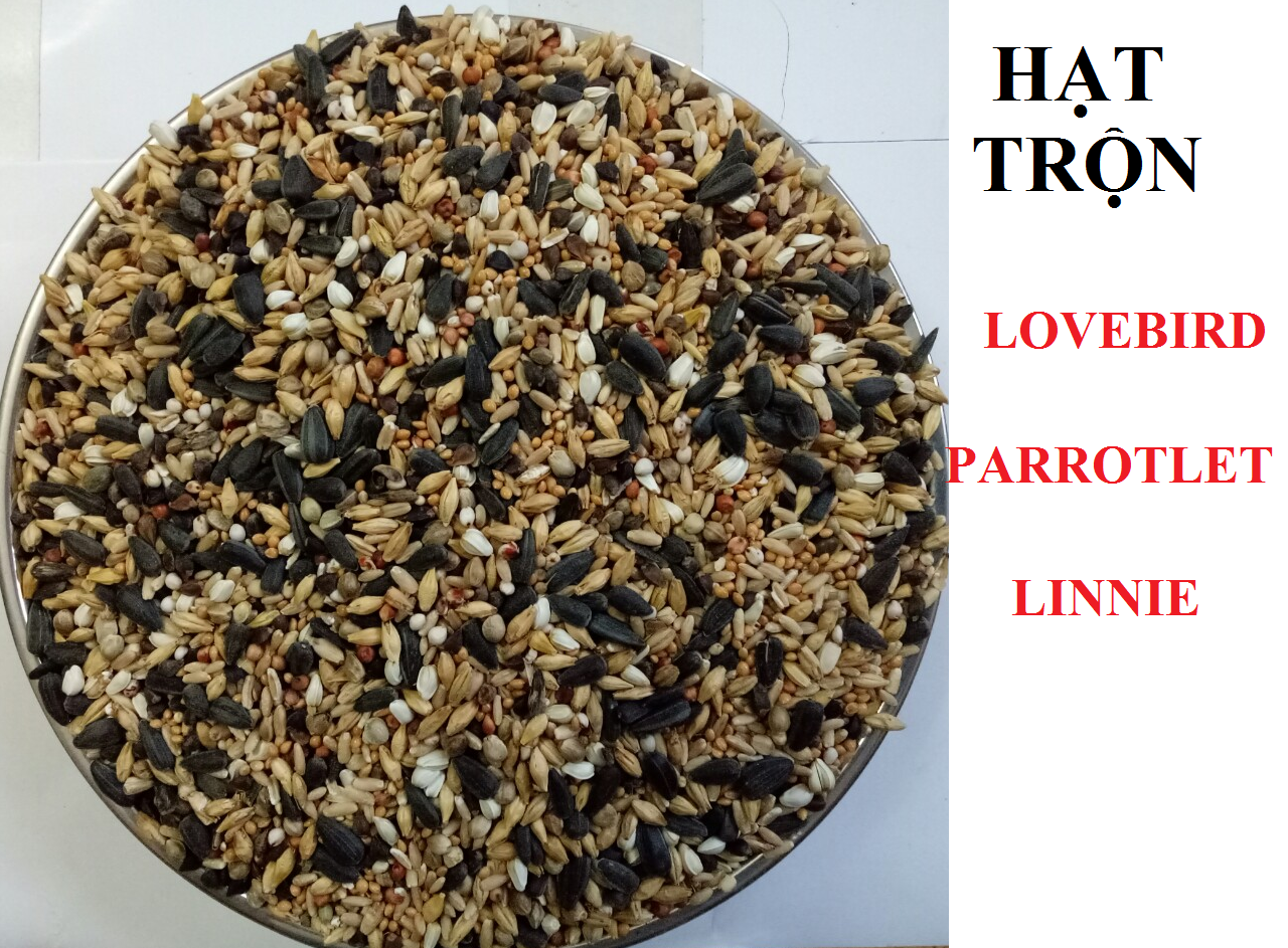 [HCM]500g hạt trộn gồm 9 loại hạt dành cho LOVEBIRD LINNIE PARROTLET