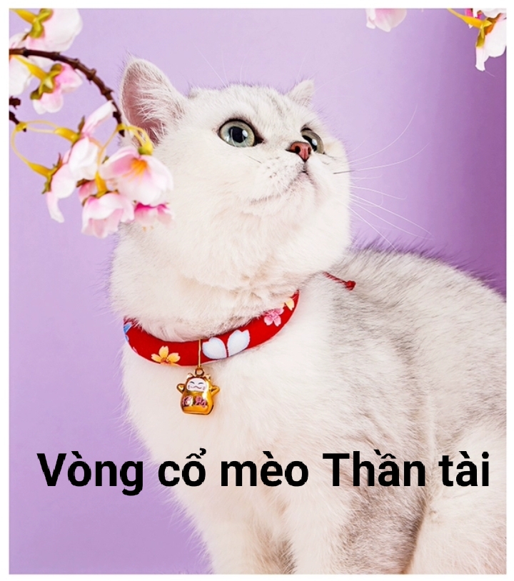 Vòng cổ lục lạc mèo thần tài phong cách Nhật Bản nhiều mẫu sang chảnh - Có dẩy điều chính kích cỡ dễ dàng