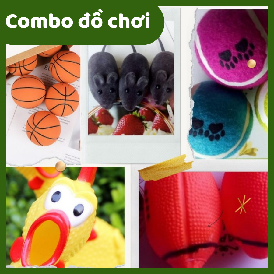 Đồ chơi chó mèo combo 5 món, đồ chơi huấn luyện thú cưng