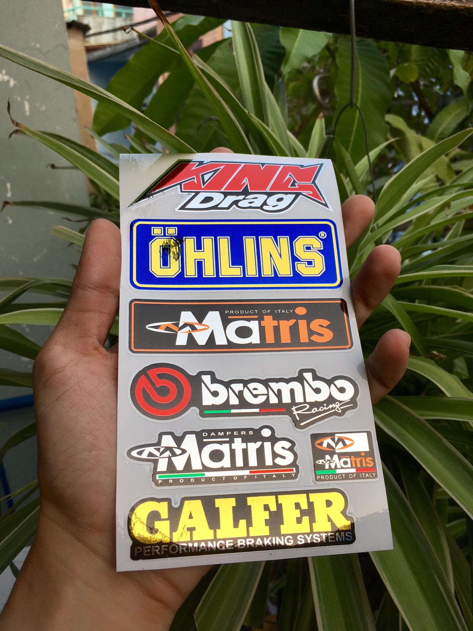 [HCM]TEM LOGO SI CROM KING DRAG OH MATRIX