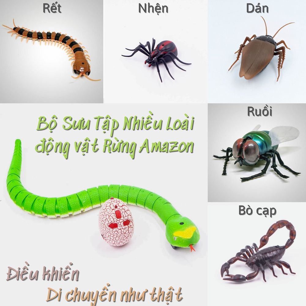 [Hoàn tiền 6%][HCM]Rắn Điều Khiển Và Bộ Sưu Tập Các Con Vật Rừng Rậm Amza:Rết Nhện RùaBò Ngựa Bướm Ong Bò Cạp..