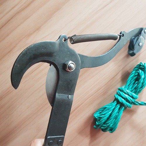 Đầu kéo cắt cành cây trên cao, tỉa cành, hái hoa quả thép chống gỉ