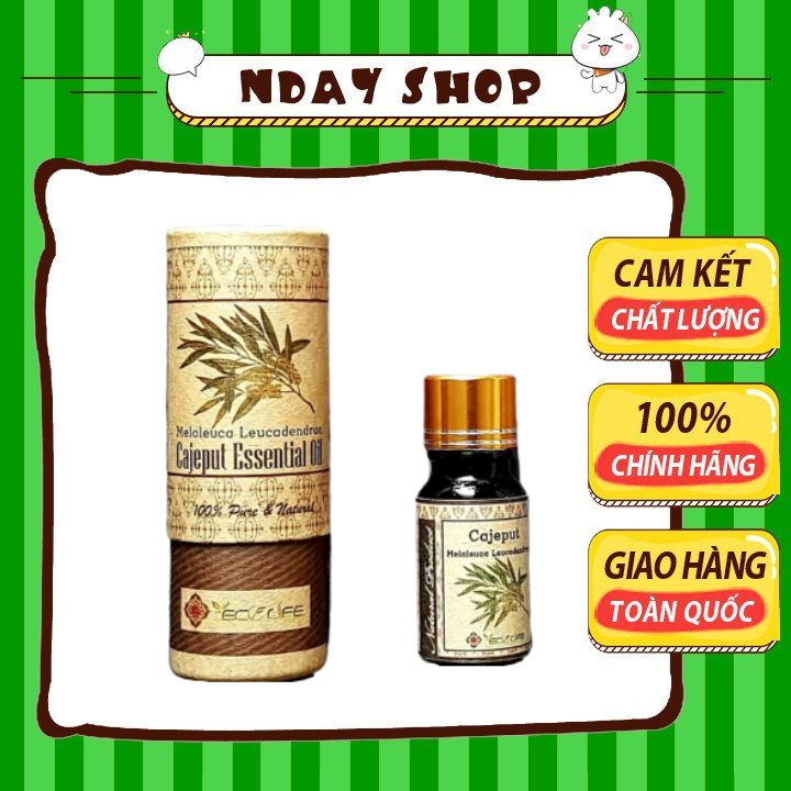 Tinh dầu tràm gió nday shop – cajeput essential oil mùi hương thơm sâu và ấm áp