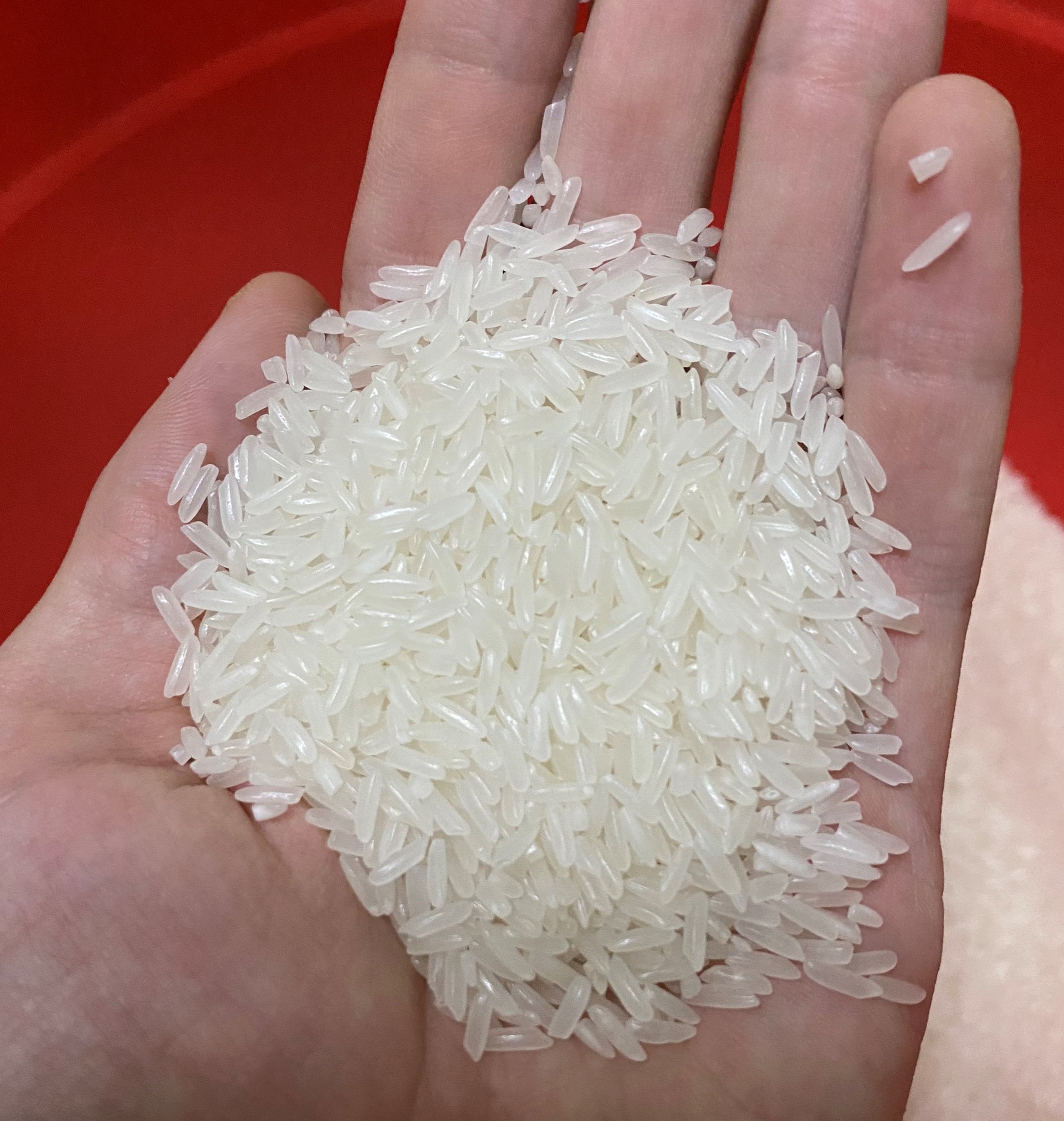 Gạo Đài loan trong dẻo ngọt thơm 5kg