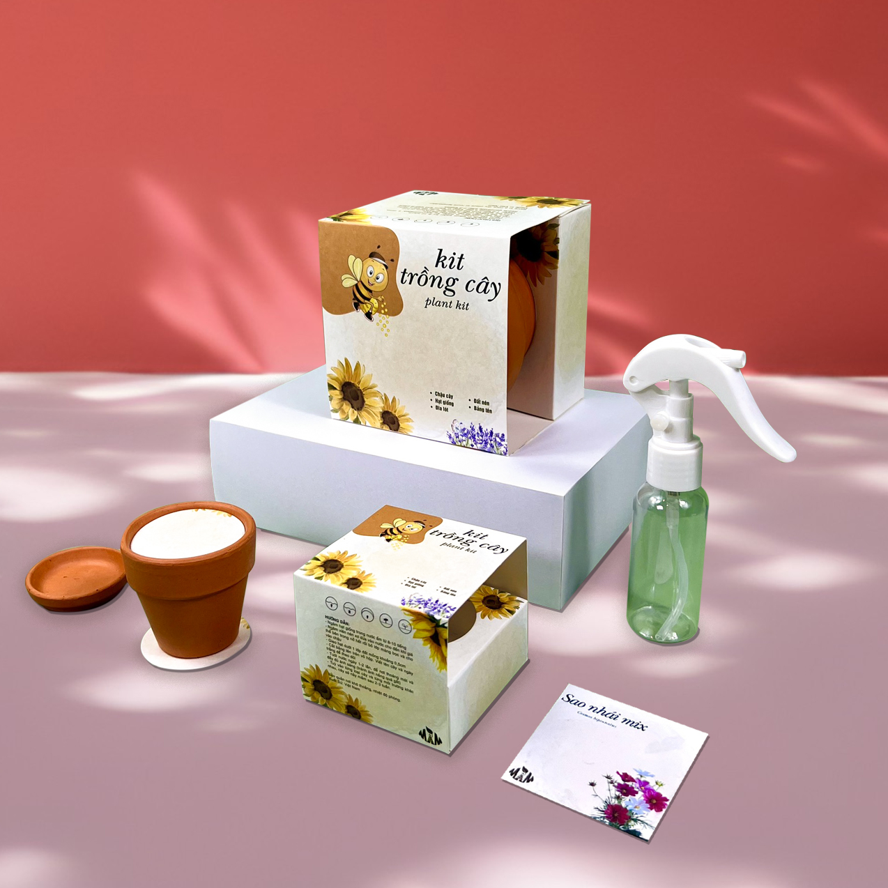Kit trồng cây mini - bộ trồng cây hạt giống hoa sao nhái | plant kit - cosmos mầm xinh